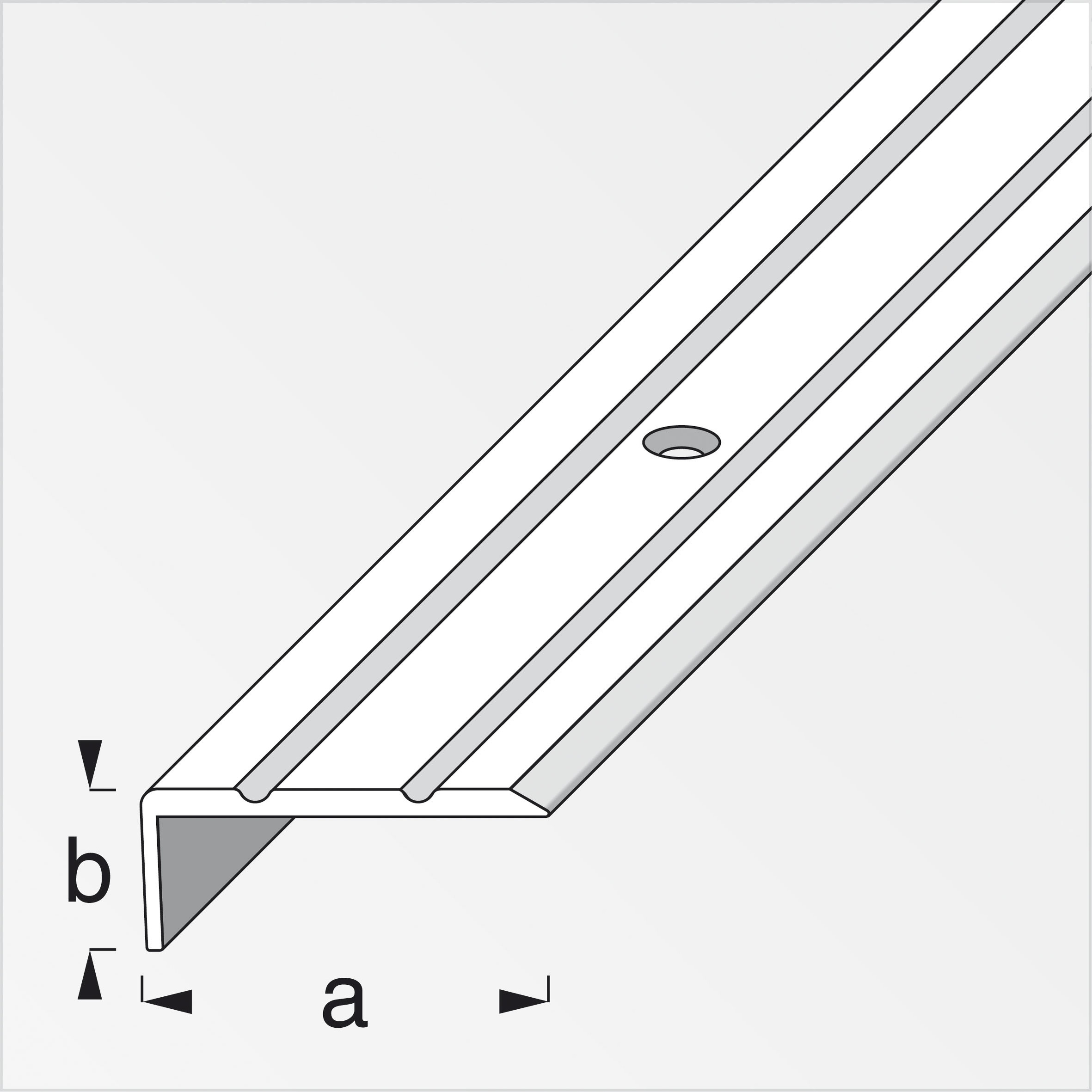 Afslutningsprofil 25 X 10 Mm Sølv Eloxeret 1 M Roliba A S